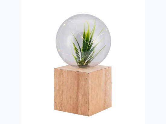 Terra Lights LED Illuminated Terrarium Globe