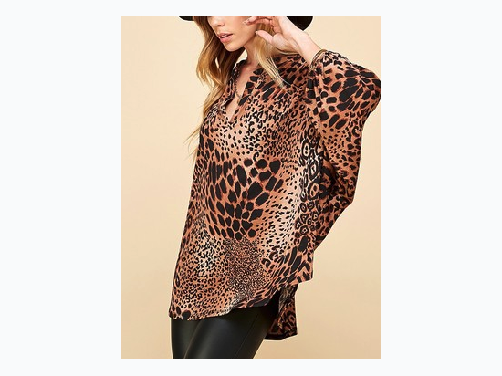 Women's Leopard Print Gabby Style Long Sleeve Top