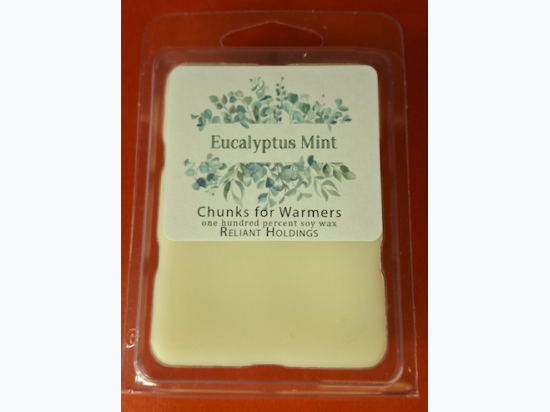 Soy Wax Melts for Warmers - Eucalyptus Mint