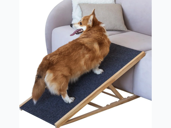 Foldable – Non-Slip - Lightweight 4-Level Ramp for Large or Small Dogs - up to 100 Lb