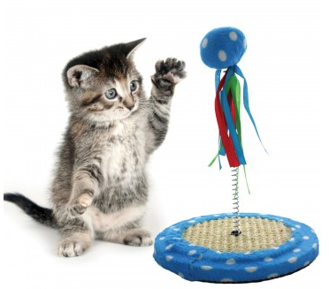 cat punch toy