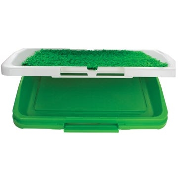 potty tray