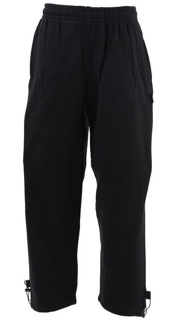 lined jogger pants