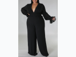 Plus Size V-Neck Lace Trim Jumpsuit - 2 Color Options