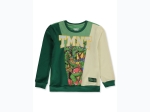 Boy's TMNT Colorblock Felt Embroidered Graphic Sweatshirt