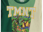 Boy's TMNT Colorblock Felt Embroidered Graphic Sweatshirt