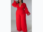 Plus Size V-Neck Lace Trim Jumpsuit - 2 Color Options