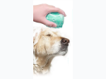Silicone Pet Grooming Shampoo Shower Brush in Blue
