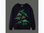 Toddler Boy Glow-in-the-Dark Skeletal Dinosaur Sweatshirt in Navy