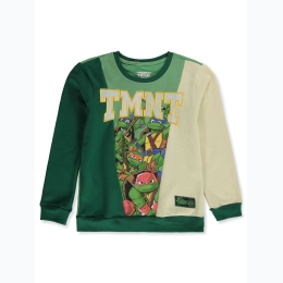 Boy's TMNT Colorblock Felt Embroidered Graphic Sweatshirt