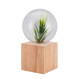 Terra Lights LED Illuminated Terrarium Globe